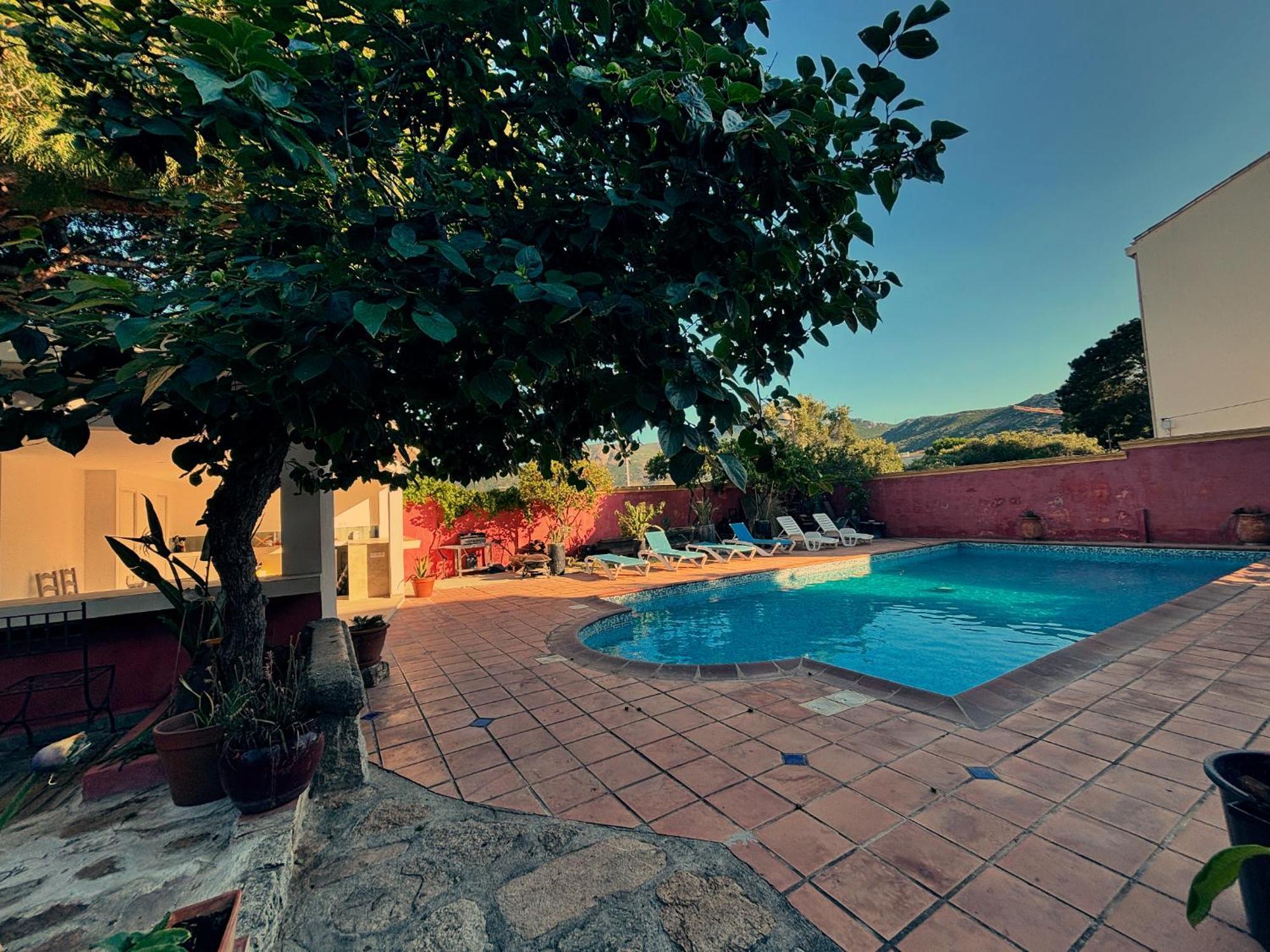 Residence Antonia Appartements Avec Piscine Commune - Centre Ville Calvi Calvi  Exterior photo